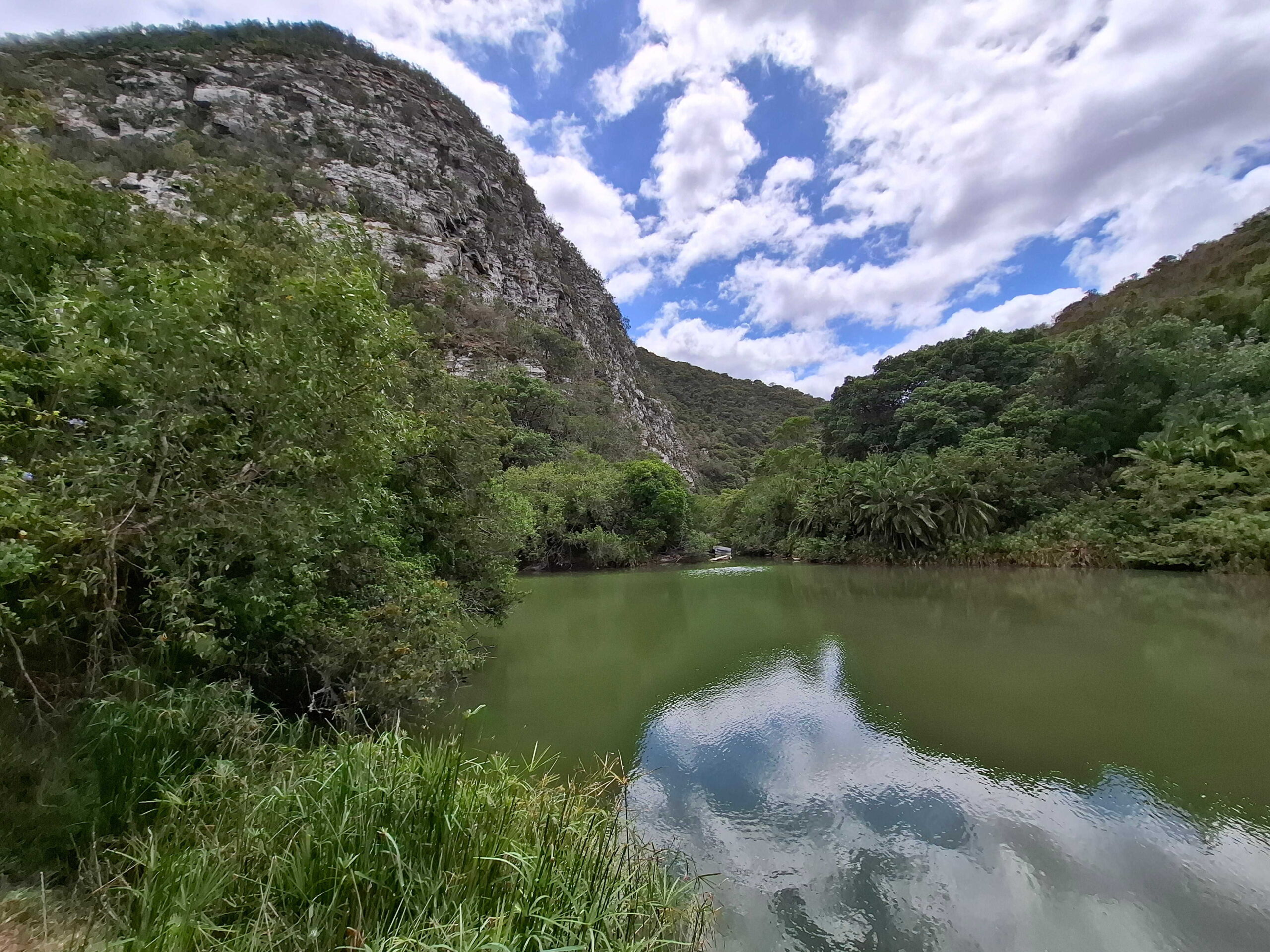DIE BATHURST-MEENTGROND: ‘N GEDEELDE LANDSKAP VAN GESKIEDENIS, EKOLOGIE EN LEWENSONDERHOUD